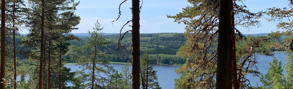 Vaarunvuori Nature Trail: 4 Reviews, Map - Central Finland, Finland |  AllTrails