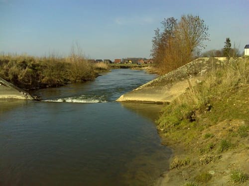 Wabe 151 Rinkerode