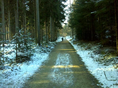 Nasses Dreieck - Brumleytal