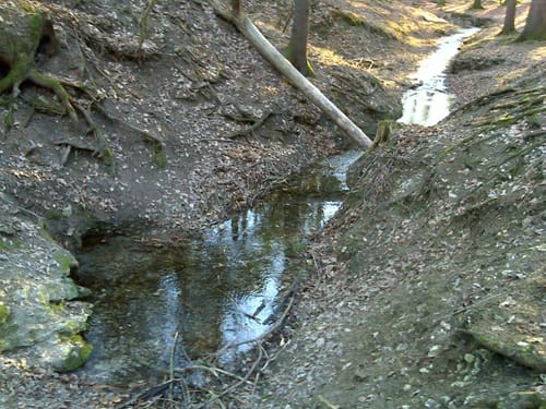 Teutolauf 2015 - 29km