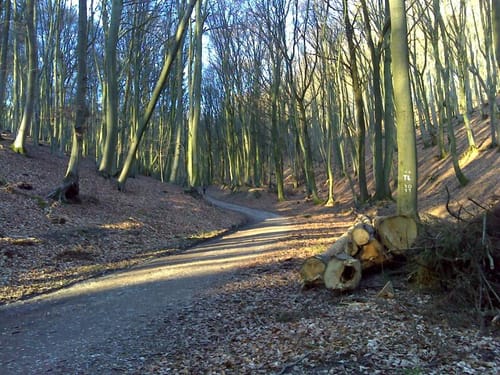 Teutolauf 2015 - 29km