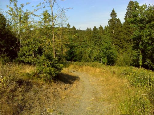 Auf die Breitenberge - Harztour 3