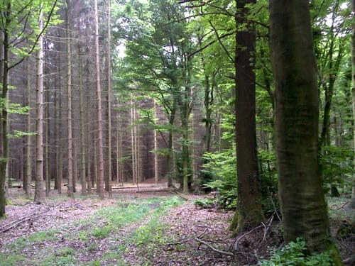 Gesundheitspfad über den Kleinen Berg