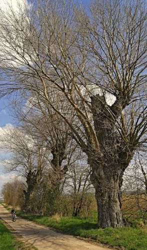 Durch das Alzeyer Land