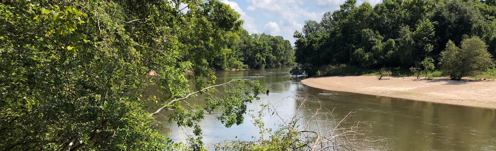 bogue chitto state park bike trail