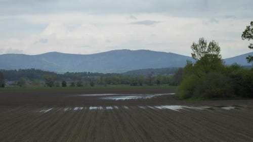 "Natur und Kultur" rund um Offenberg