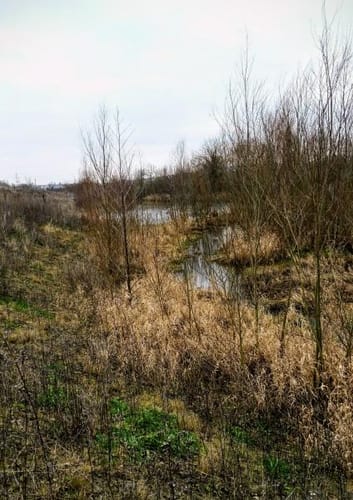 Alzey-Schaffhäuser Runde