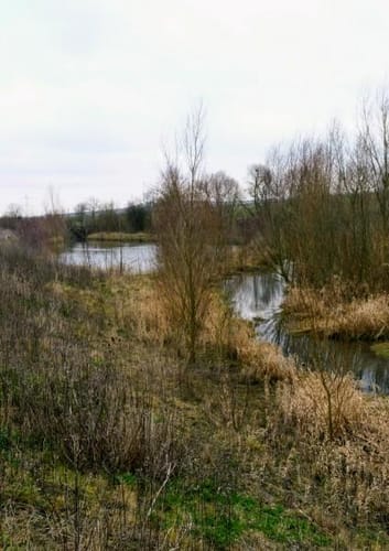 Alzey-Schaffhäuser Runde