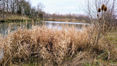 Alzey-Schaffhäuser Runde