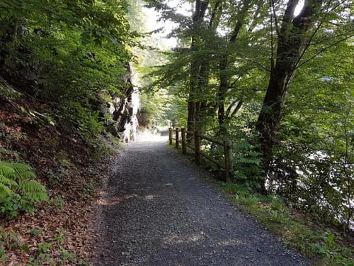 Rund um Schellenberg