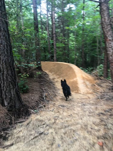 Stumphouse mountain 2025 bike park