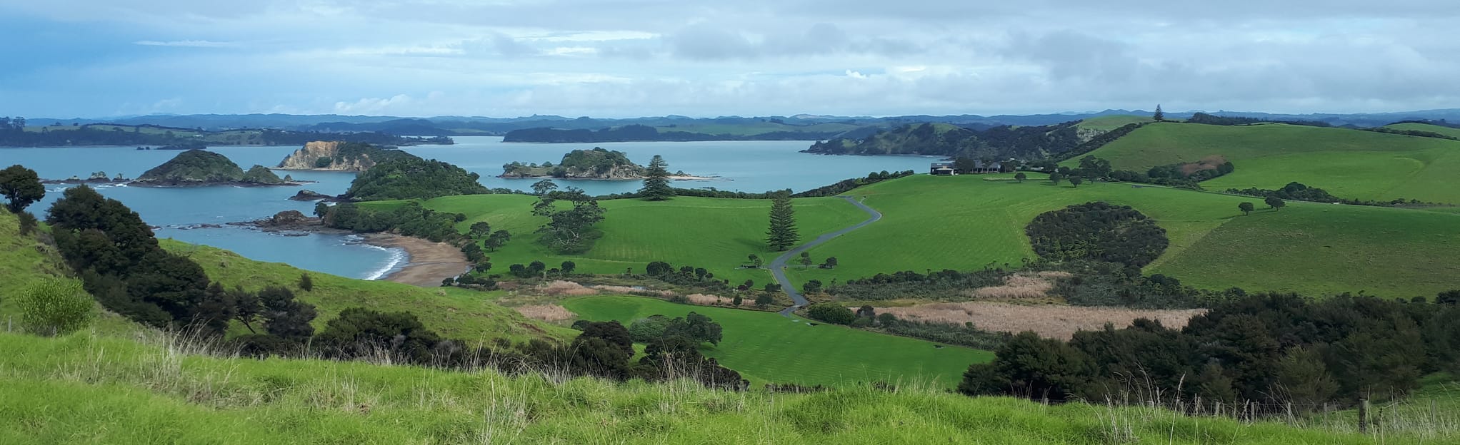 Marsden Cross Track 13 Fotos Northland, Neuseeland Wandern AllTrails