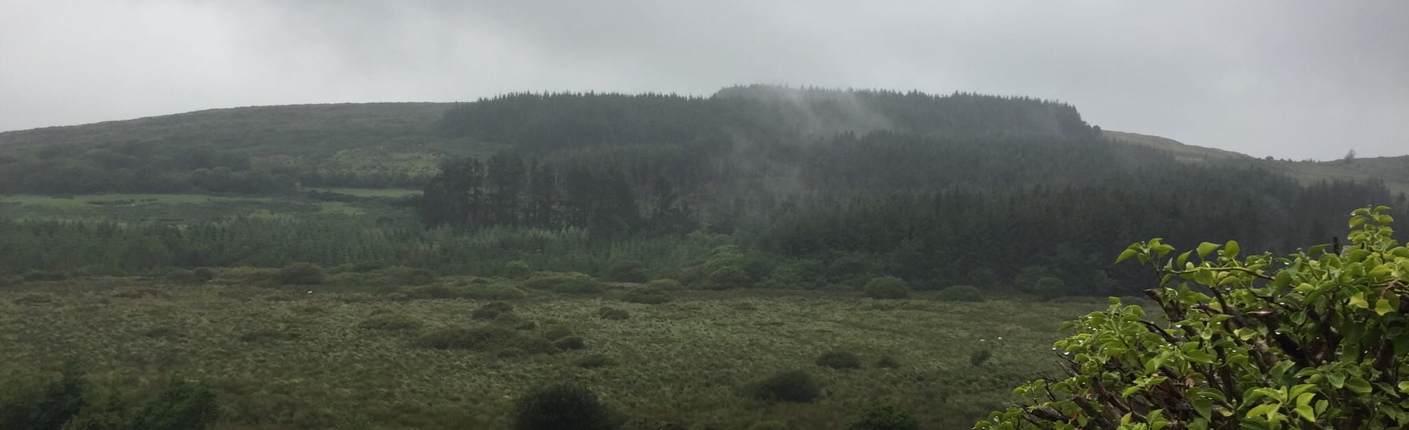Sheep's Head Way Section 10 Durrus to Barnageehy, County Cork