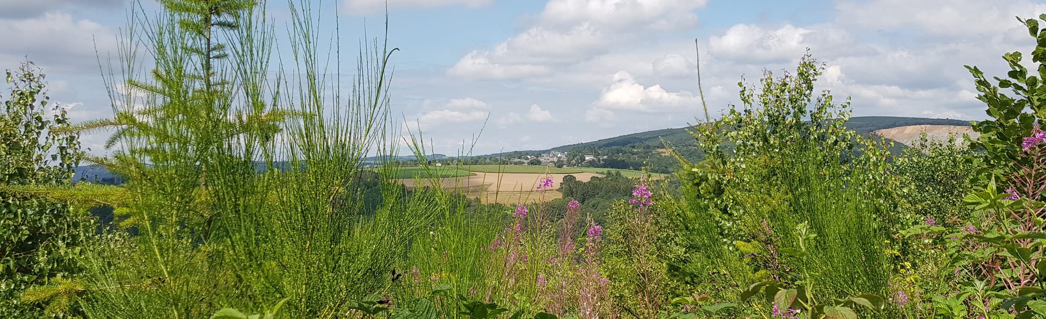 Beausaint Mierchamps Ronchampay 82 foto's Provincie Luxemburg