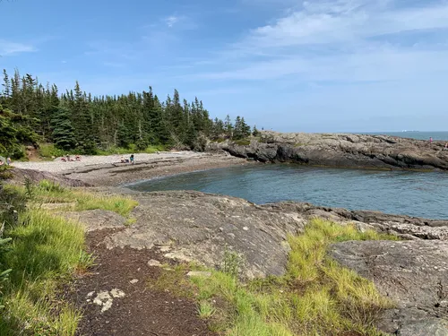 Irving Nature Park / #CanadaDo / Best Things to Do in Saint John, NB