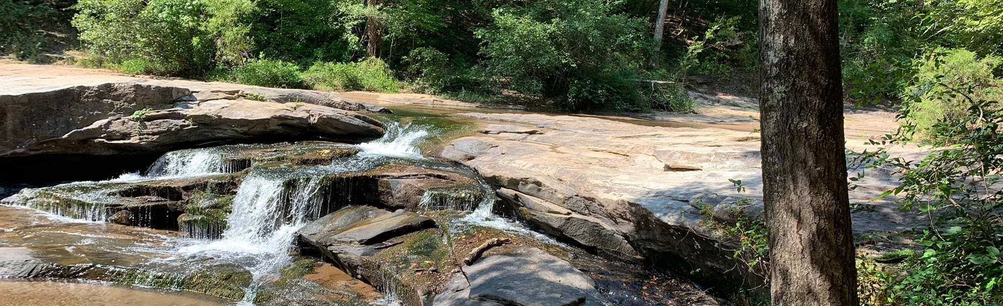 Musgrove Hill Horseshoe Falls Trail to Observation Deck 56 Reviews