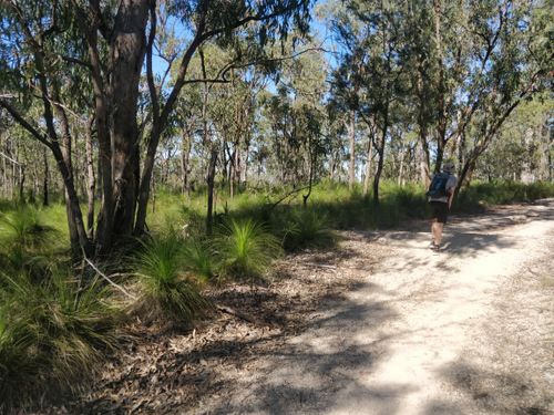 2023 Best 10 Walking Trails in Daisy Hill Conservation Park | AllTrails