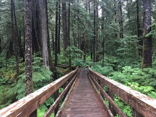 10 Best Hikes and Trails in Tongass National Forest | AllTrails