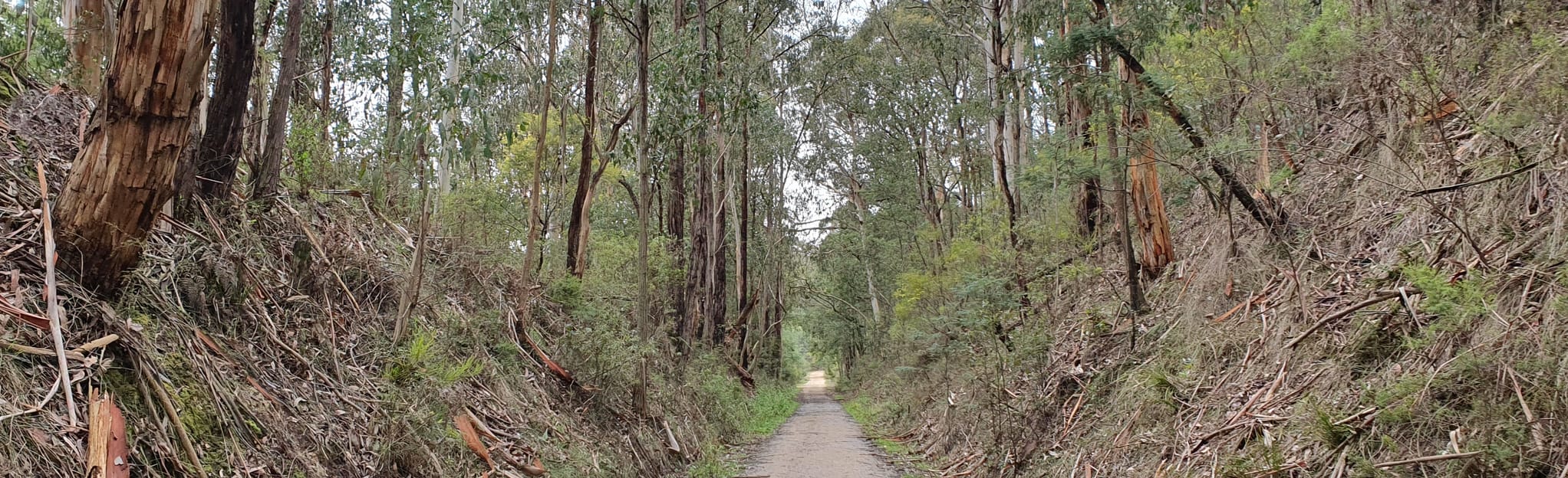 MCG, Traverse, Downhill, Rokeby Loop, 48 Fotos Victoria, Australia