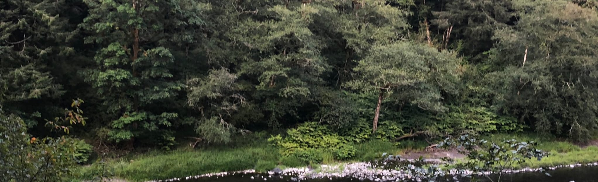 Peninsula Day Use Area Trail, Oregon 15 Reviews, Map AllTrails