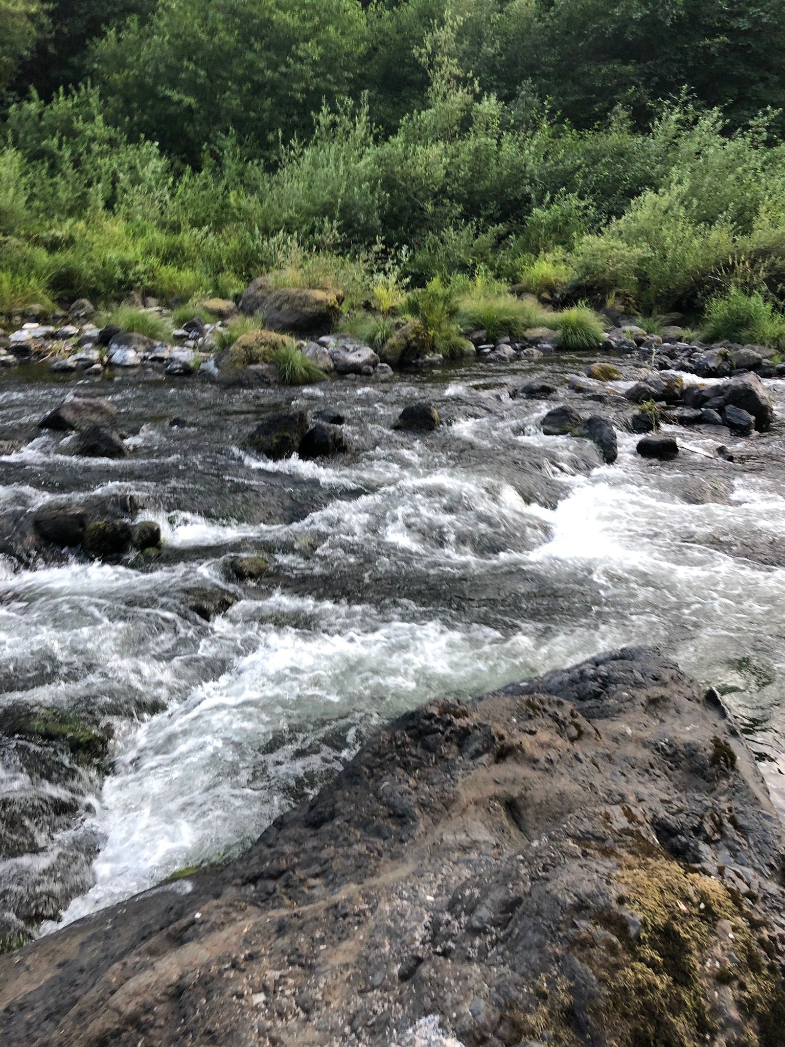 Photos of Trask River Fish Hatchery to Upper Peninsula Boat Ramp