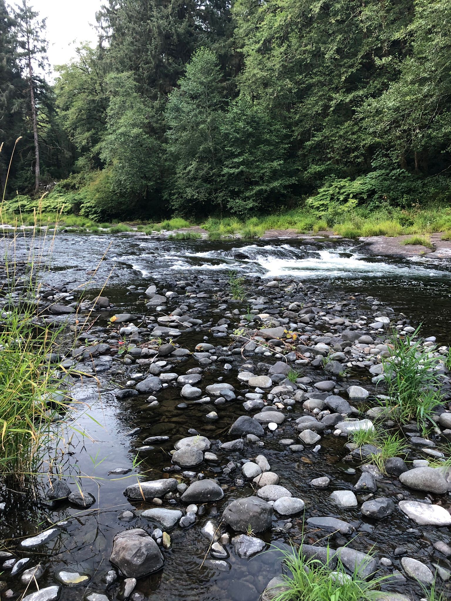 Photos of Trask River Fish Hatchery to Upper Peninsula Boat Ramp