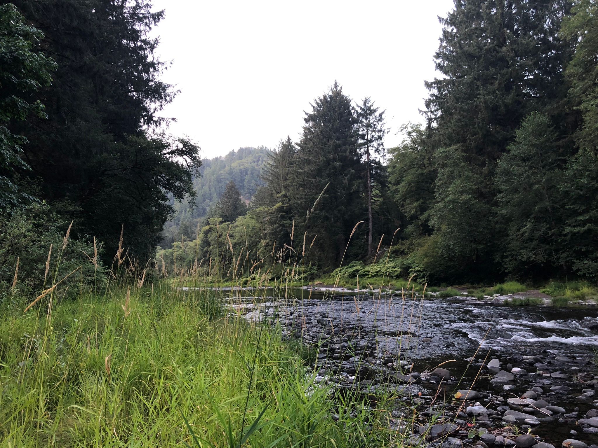 Photos of Trask River Fish Hatchery to Upper Peninsula Boat Ramp