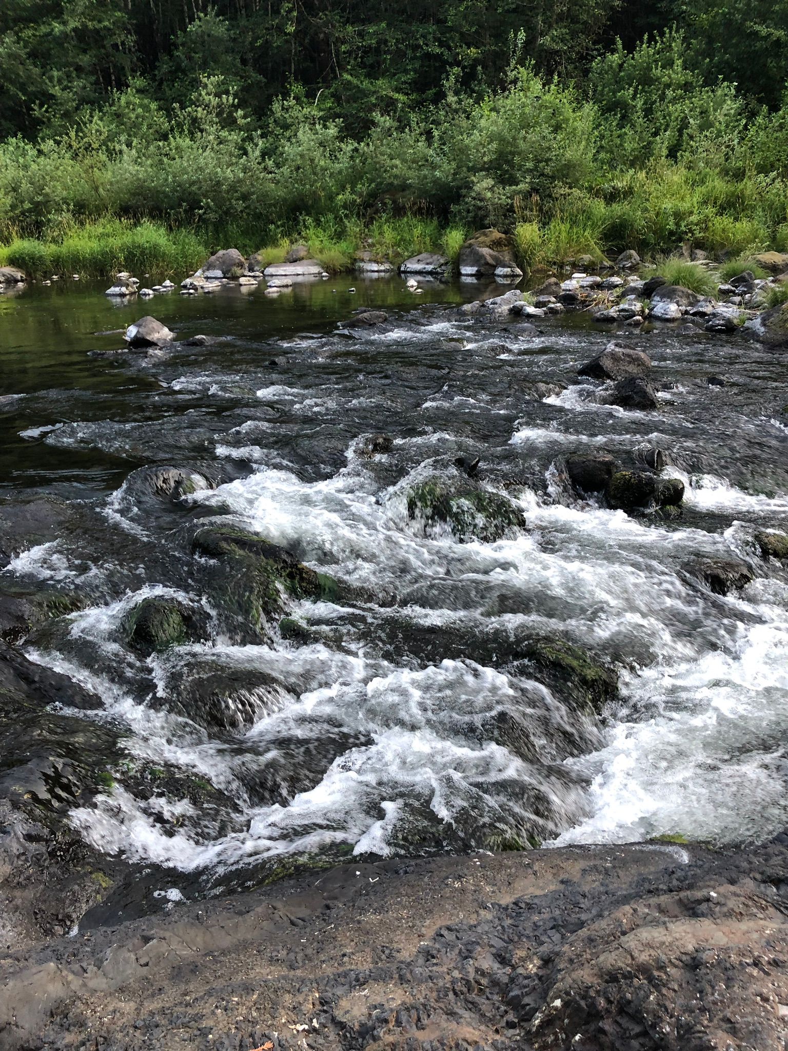 Photos of Trask River Fish Hatchery to Upper Peninsula Boat Ramp