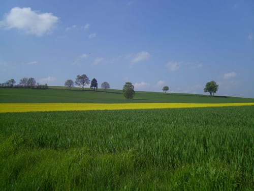 Durch die Rombach-Hochflächen und Siegwinden