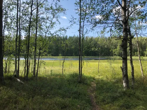 best-kid-friendly-trails-in-leivonm-en-kansallispuisto-alltrails