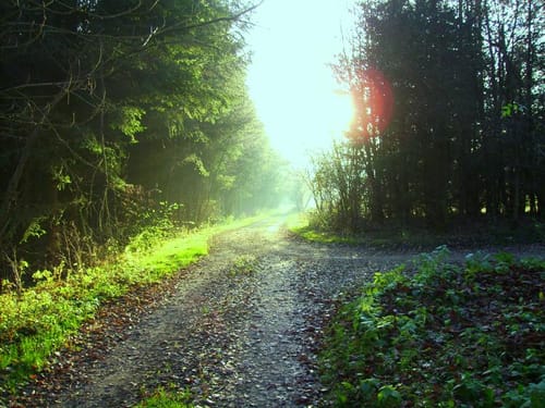 Von Steinberg nach Hörenhausen