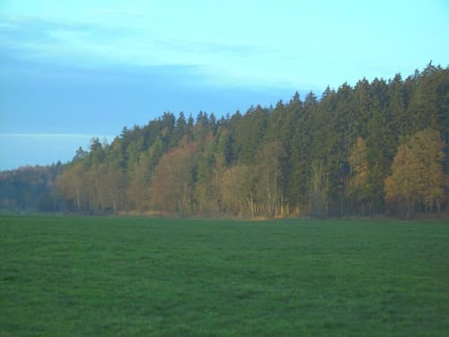 Von Steinberg nach Hörenhausen
