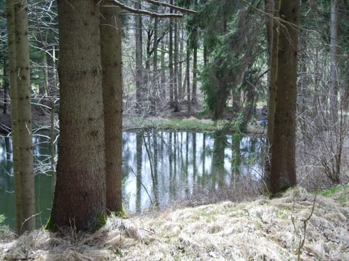 Von Steinberg über Kirchberg
