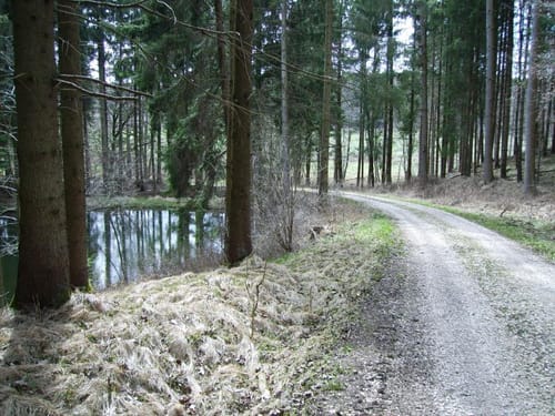 Von Steinberg über Kirchberg