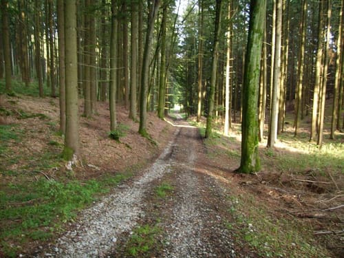 Durch das Weihungstal