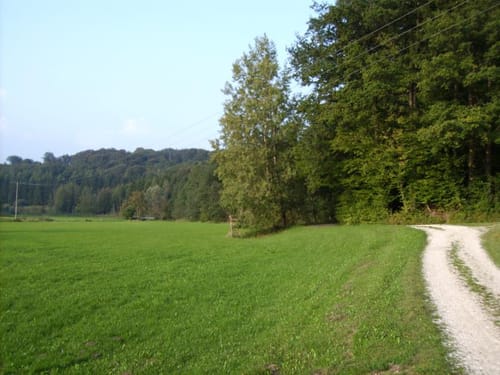 Durch das Weihungstal