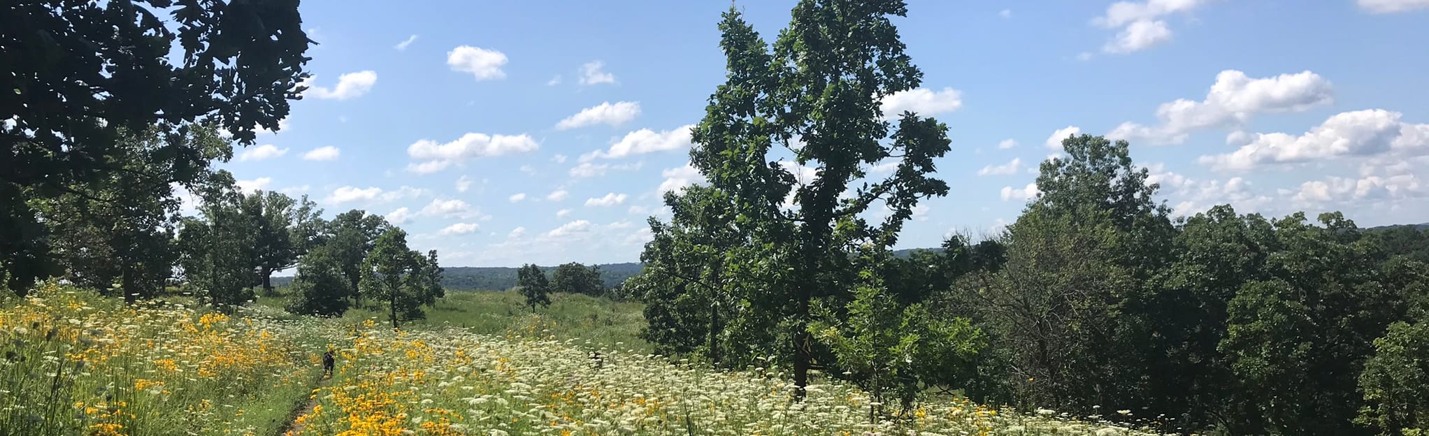 Ice Age Trail Table Bluff Segment 551 foto's Wisconsin AllTrails