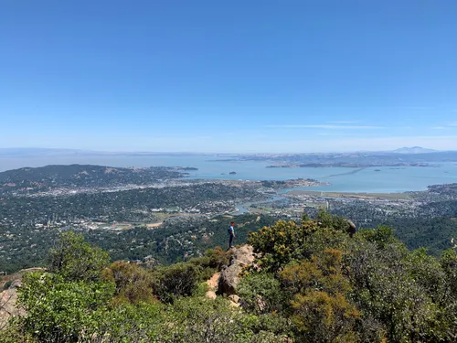Best Forest Trails in San Anselmo | AllTrails