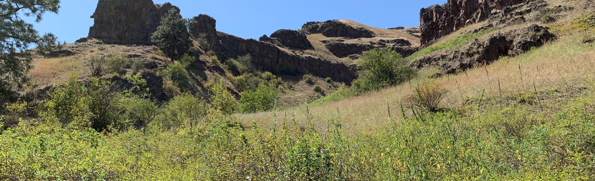 North Fork Asotin Creek Trail 32 Reviews, Map Washington AllTrails