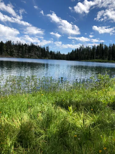 Best 10 Hikes And Trails In Plumas National Forest 