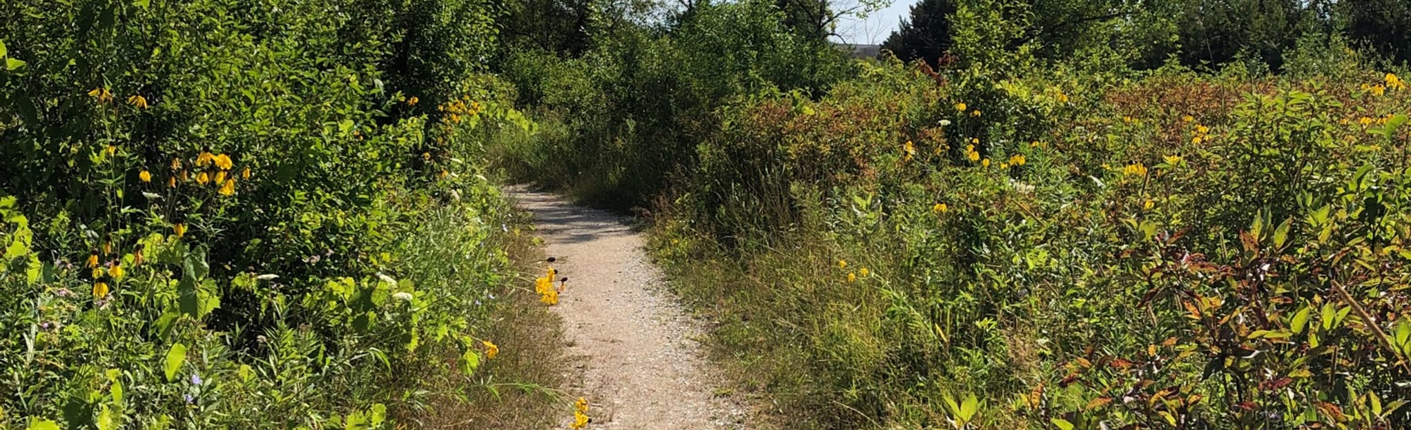 Mud Lake, Wisconsin 46 Reviews, Map AllTrails