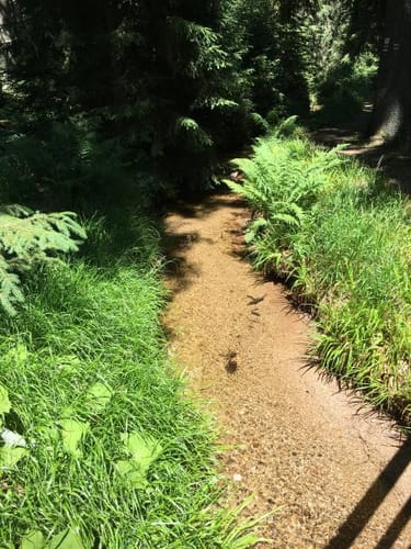 Kammweg Erzgebirge-Vogtland Etappe 12: Weitersglashütte - Mühlleithen