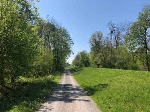 RheinAUen-naturbeobachtungs-PfadE (RAUPE)