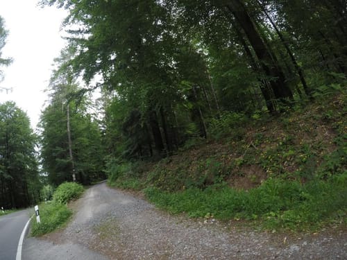 Fischweier: Im Mosalbtal
