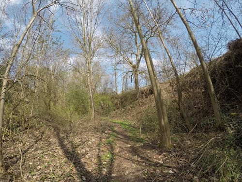 Neipperg Rundweg