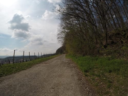 Neipperg Rundweg