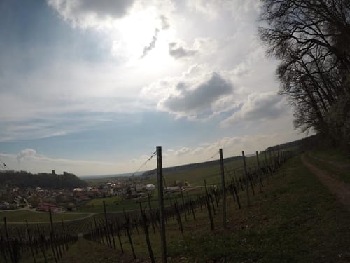 Neipperg Rundweg