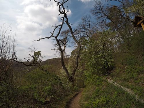 Neipperg Rundweg