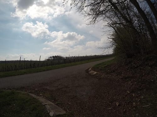 Neipperg Rundweg