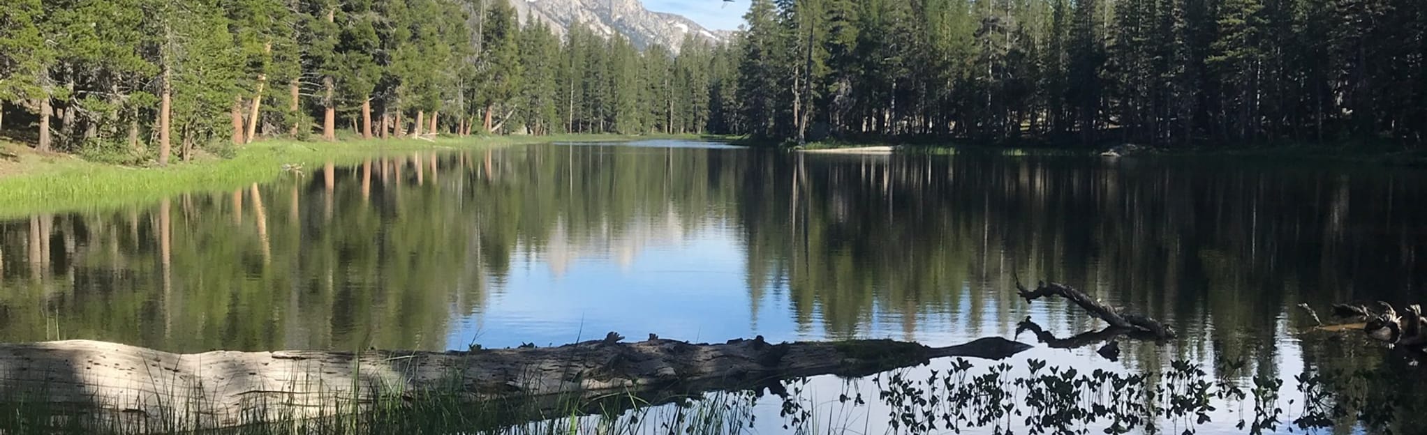 Leavitt Lake, Long Lake and Fremont Lake Trail , California 5 Reviews